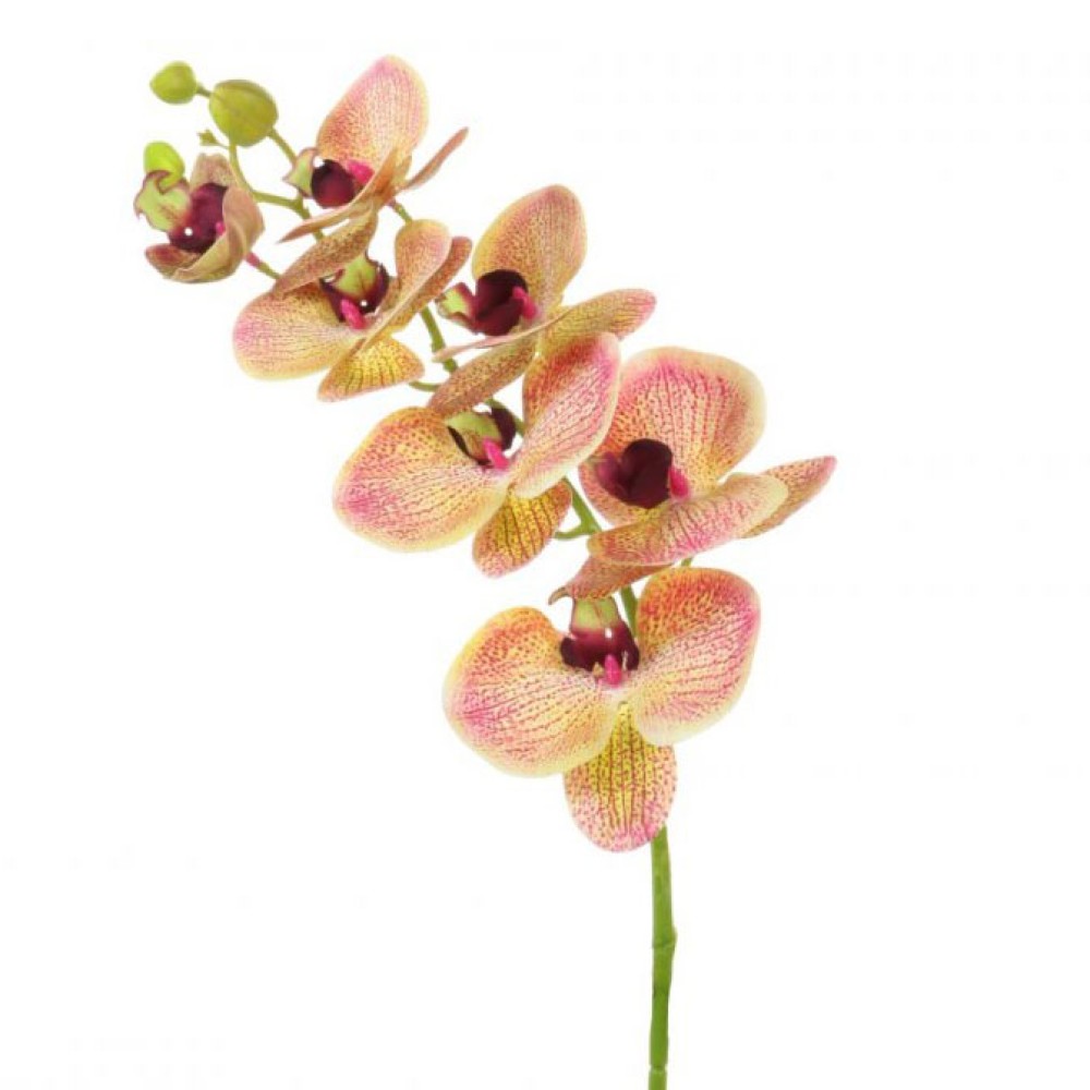 Artificial Phalaenopsis Orchid Fruit Salad 78cm Artificial Flowers
